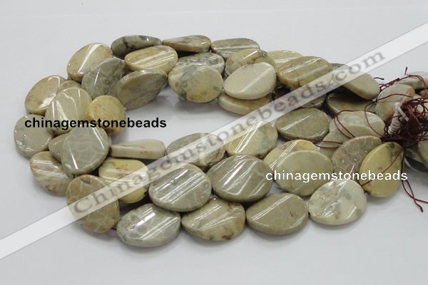 CFA21 15.5 inches 22*30mm twisted oval chrysanthemum agate beads