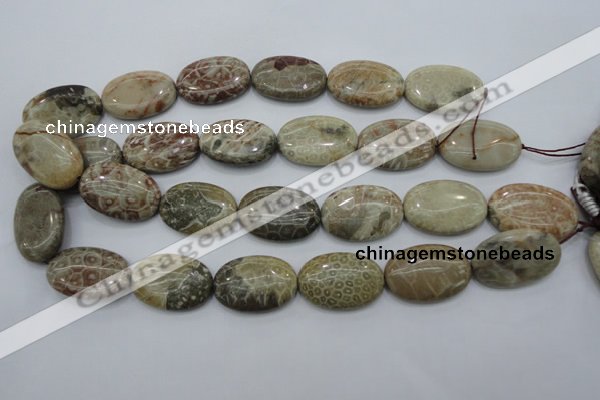 CFA216 15.5 inches 20*30mm oval chrysanthemum agate beads