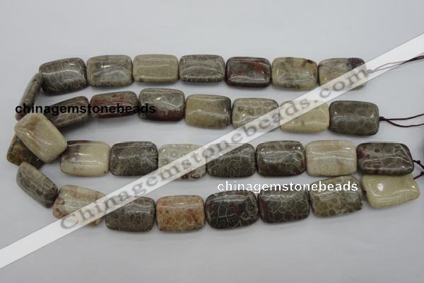 CFA224 15.5 inches 18*25mm rectangle chrysanthemum agate beads