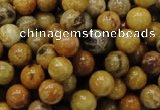 CFA32 15.5 inches 8mm round yellow chrysanthemum agate beads
