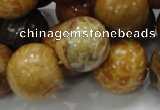 CFA34 15.5 inches 20mm round yellow chrysanthemum agate beads