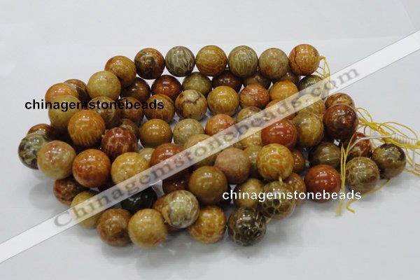 CFA34 15.5 inches 20mm round yellow chrysanthemum agate beads