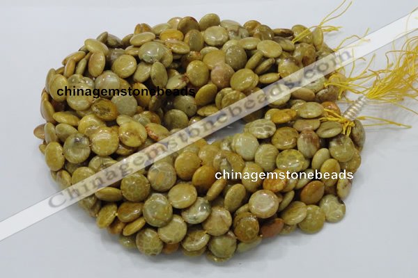 CFA42 15.5 inches 15mm flat round yellow chrysanthemum agate beads