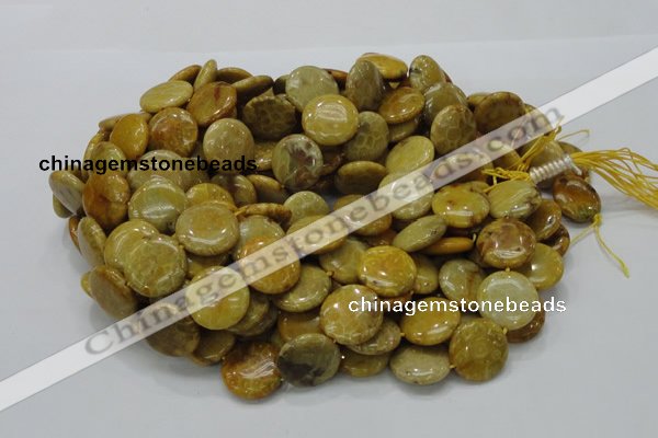 CFA43 15.5 inches 20mm flat round yellow chrysanthemum agate beads