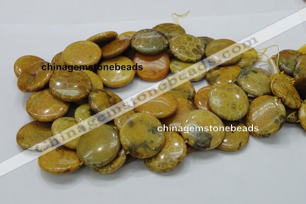 CFA45 15.5 inches 30mm flat round yellow chrysanthemum agate beads