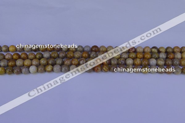 CFC200 15.5 inches 4mm round fossil coral beads wholesale