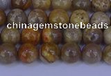 CFC201 15.5 inches 6mm round fossil coral beads wholesale
