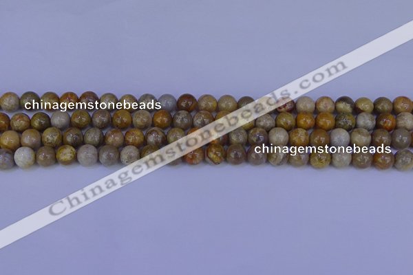 CFC201 15.5 inches 6mm round fossil coral beads wholesale