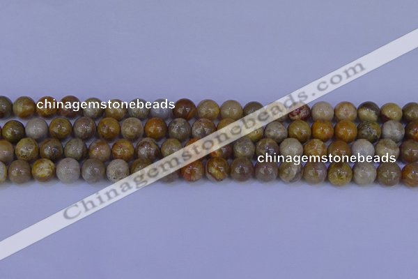 CFC202 15.5 inches 8mm round fossil coral beads wholesale