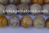 CFC203 15.5 inches 10mm round fossil coral beads wholesale