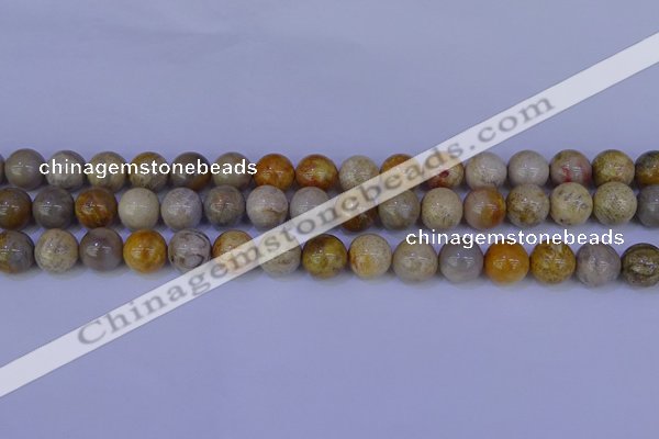 CFC203 15.5 inches 10mm round fossil coral beads wholesale