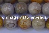 CFC204 15.5 inches 12mm round fossil coral beads wholesale