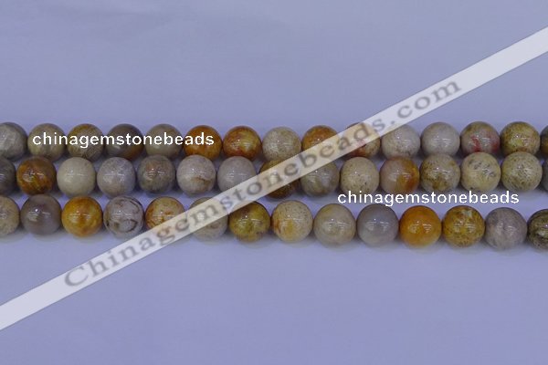 CFC204 15.5 inches 12mm round fossil coral beads wholesale