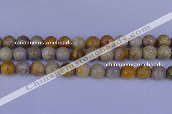 CFC205 15.5 inches 14mm round fossil coral beads wholesale