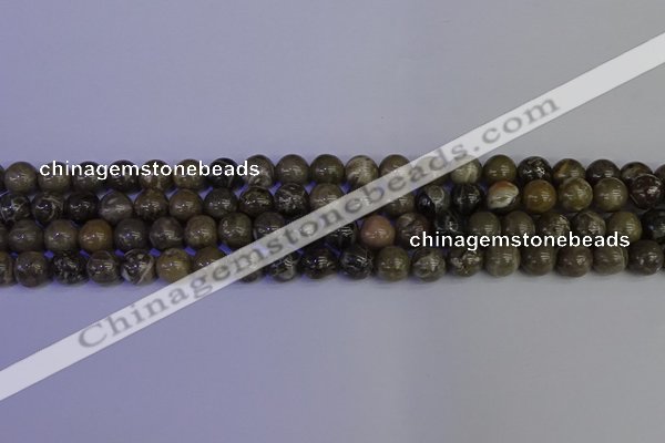 CFC212 15.5 inches 8mm round grey fossil coral beads wholesale