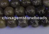 CFC213 15.5 inches 10mm round grey fossil coral beads wholesale