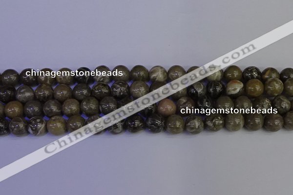 CFC214 15.5 inches 12mm round grey fossil coral beads wholesale