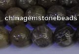 CFC215 15.5 inches 14mm round grey fossil coral beads wholesale