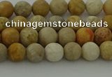 CFC221 15.5 inches 6mm round matte fossil coral beads wholesale