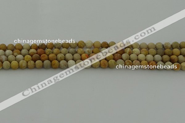 CFC221 15.5 inches 6mm round matte fossil coral beads wholesale