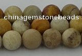 CFC222 15.5 inches 8mm round matte fossil coral beads wholesale