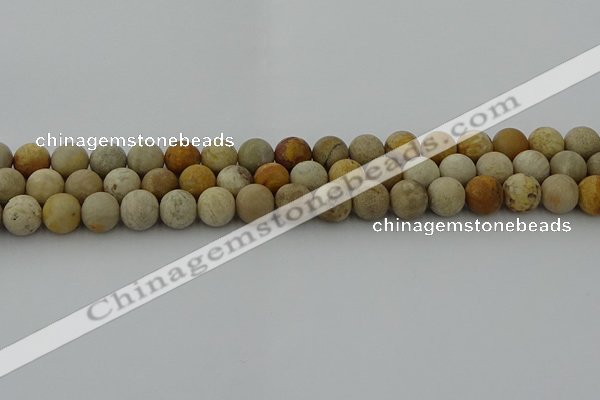 CFC222 15.5 inches 8mm round matte fossil coral beads wholesale