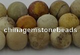 CFC223 15.5 inches 10mm round matte fossil coral beads wholesale