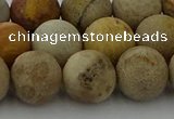 CFC224 15.5 inches 12mm round matte fossil coral beads wholesale