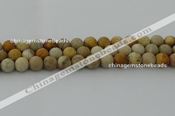 CFC224 15.5 inches 12mm round matte fossil coral beads wholesale