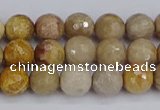 CFC229 15.5 inches 6mm faceted round fossil coral beads