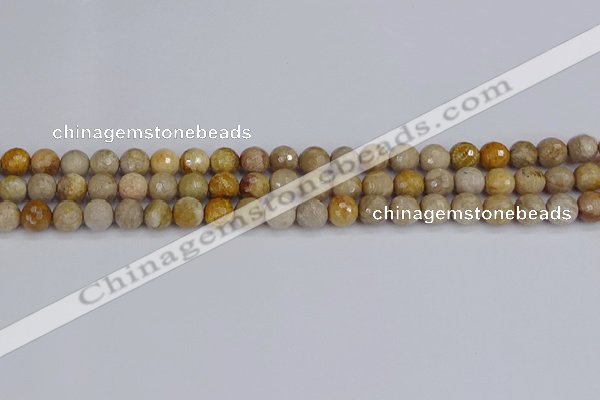CFC229 15.5 inches 6mm faceted round fossil coral beads