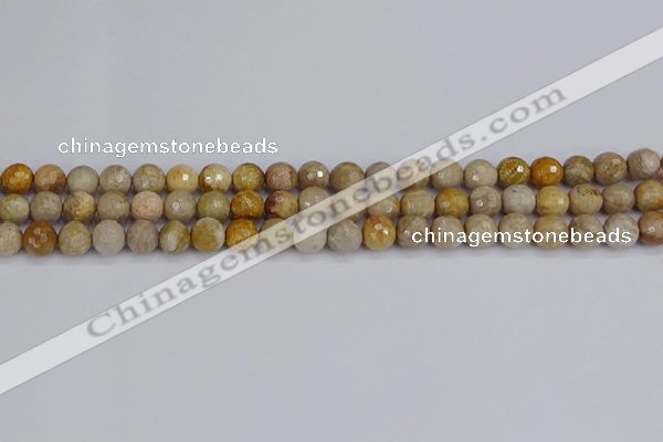 CFC229 15.5 inches 6mm faceted round fossil coral beads