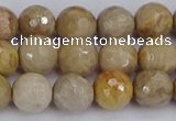 CFC230 15.5 inches 8mm faceted round fossil coral beads