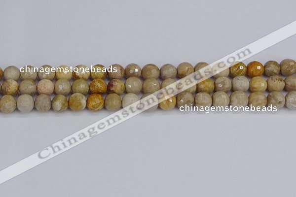 CFC230 15.5 inches 8mm faceted round fossil coral beads