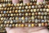 CFC321 15.5 inches 6mm round fossil coral beads wholesale