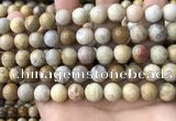 CFC323 15.5 inches 10mm round fossil coral beads wholesale