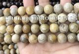 CFC325 15.5 inches 14mm round fossil coral beads wholesale