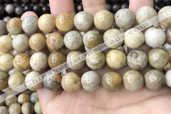 CFC325 15.5 inches 14mm round fossil coral beads wholesale