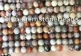 CFC341 15.5 inches 6mm round red fossil coral beads wholesale