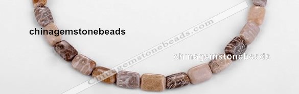 CFC50 10*14mm rectangle coral fossil jasper beads wholesale