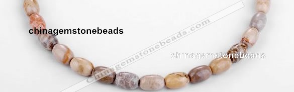 CFC51 10*14mm ellipsoid coral fossil jasper beads wholesale