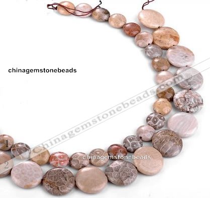 CFC53 15.5 inches flat round coral fossil jasper beads wholesale