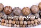 CFC55 15.5 inches round coral fossil jasper beads wholesale