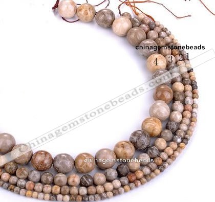 CFC55 15.5 inches round coral fossil jasper beads wholesale