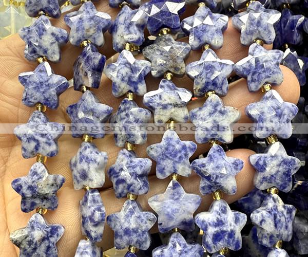 CFG1672 15 inches 14mm carved star blue spot stone beads