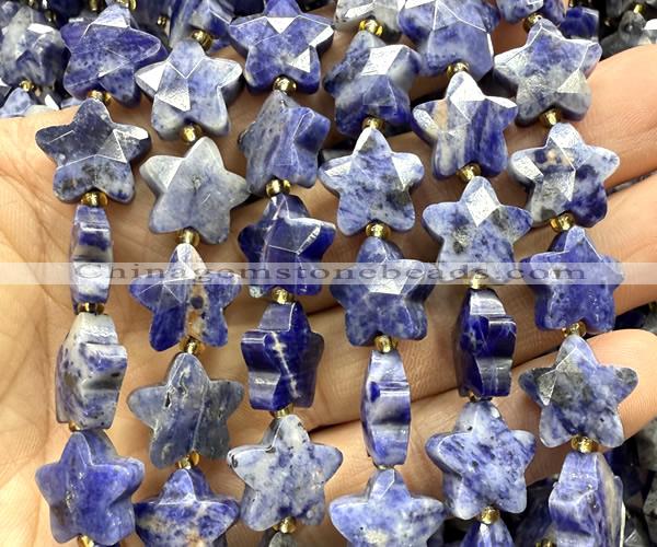 CFG1673 15 inches 14mm carved star sodalite gemstone beads