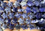 CFG1673 15 inches 14mm carved star sodalite gemstone beads