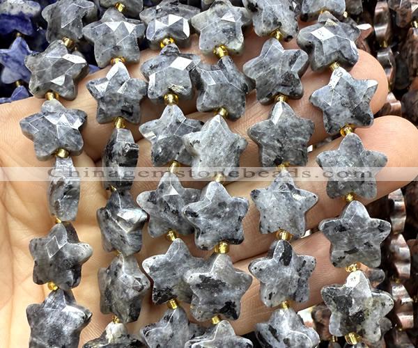 CFG1679 15 inches 14mm carved star black labradorite beads