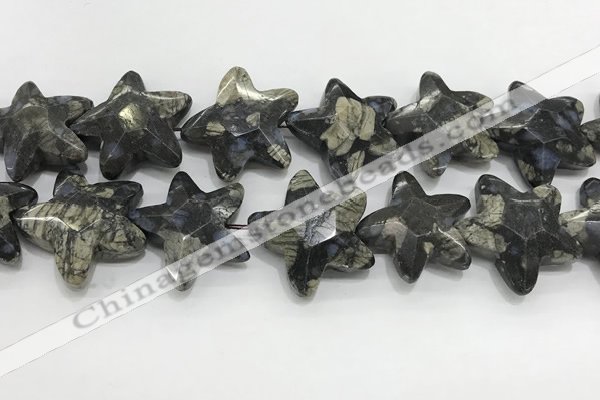 CFG985 15.5 inches 33*33mm carved star grey opal gemstone beads