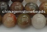 CFJ204 15.5 inches 12mm round fancy jasper beads wholesale